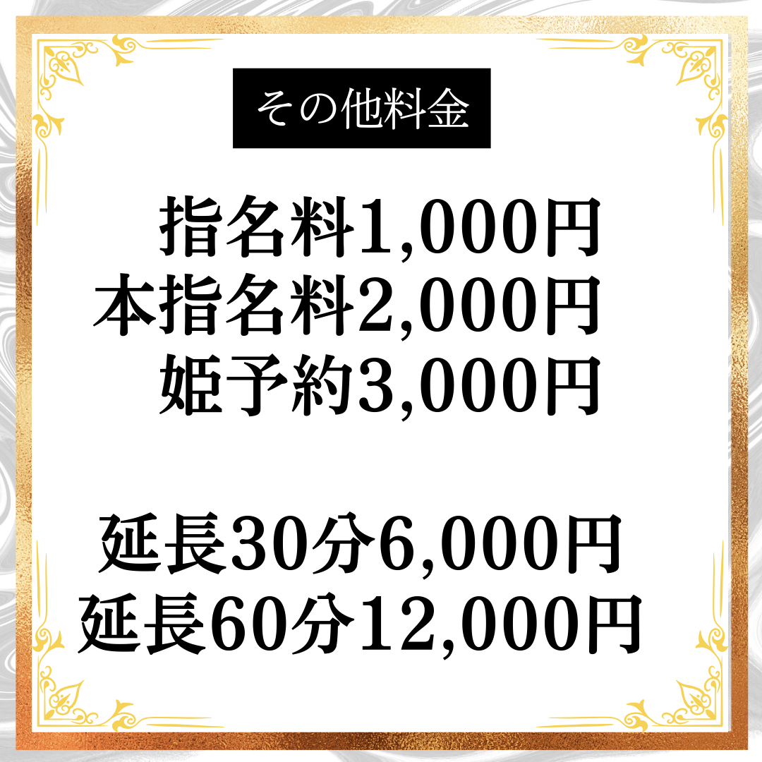 その他料金